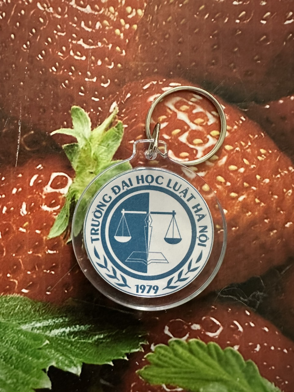 Móc khóa đại học luật